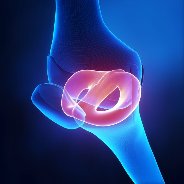 What Is The Meniscus and Its Function? | Dr Louis Shidiak