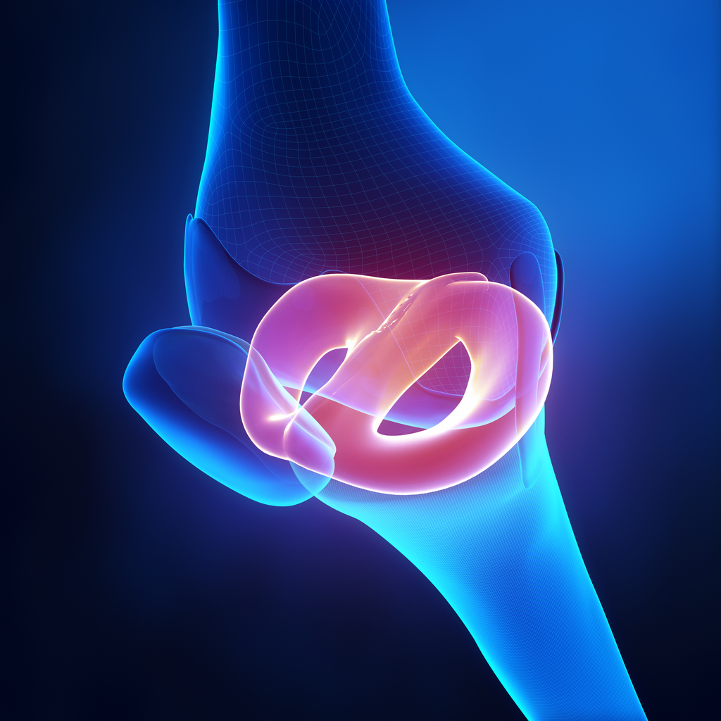 What is the meniscus and what is its role in your knee’s function?